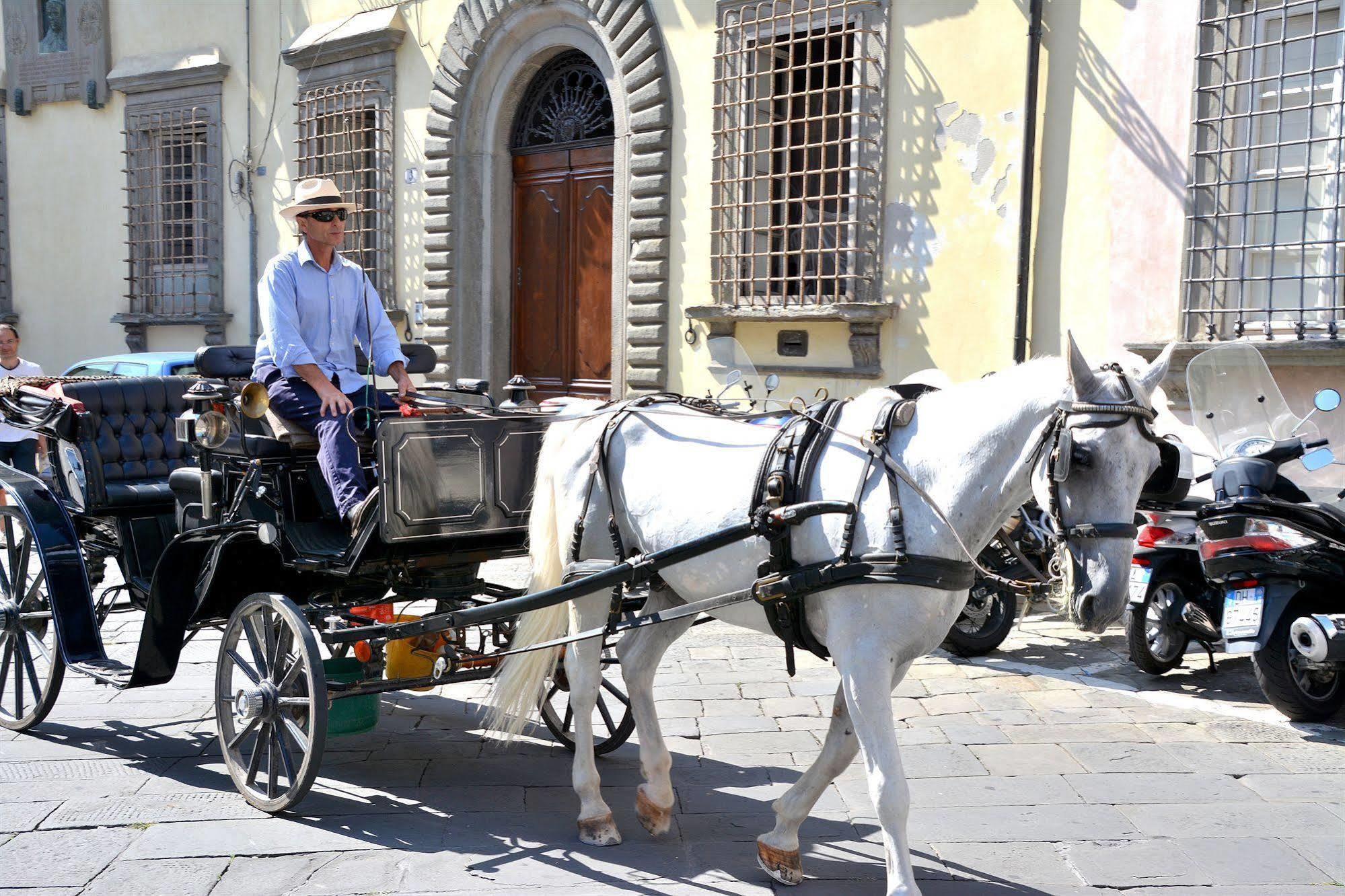 Dimora Dei Guelfi Luxury Rooms Lucca Exterior foto